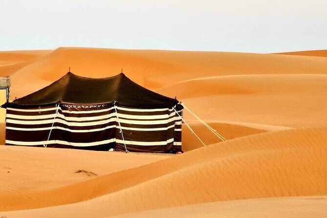 2-Day Private Wahiba Sands Desert Camping Tour from Muscat - The 8:30 Muscat launch: how the first day sets the tone