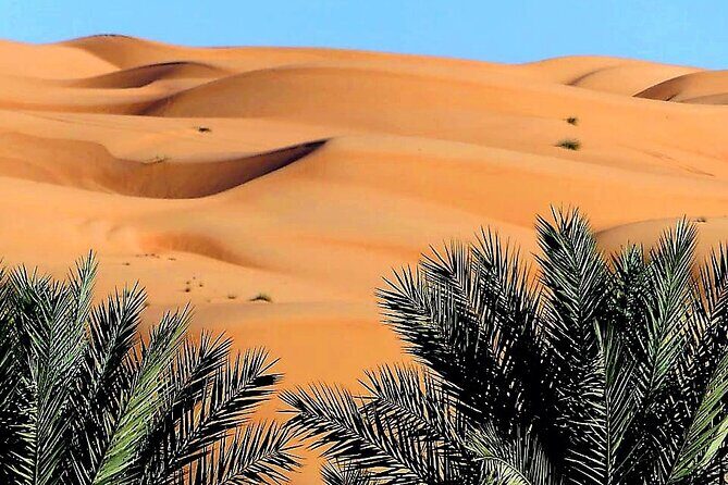 2-Day Private Wahiba Sands Desert Camping Tour from Muscat - Day Two: the Bedouin House and the gata partition detail