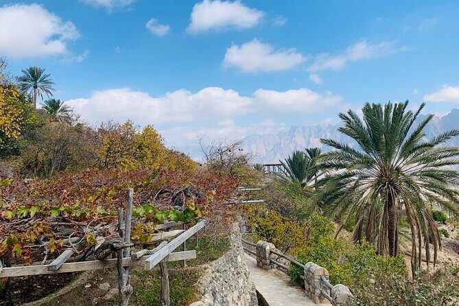 2 Days 1 Night Wakan Private Tour - Wadi Al Abyad: Easy Trekking, Pools, and Plant Life