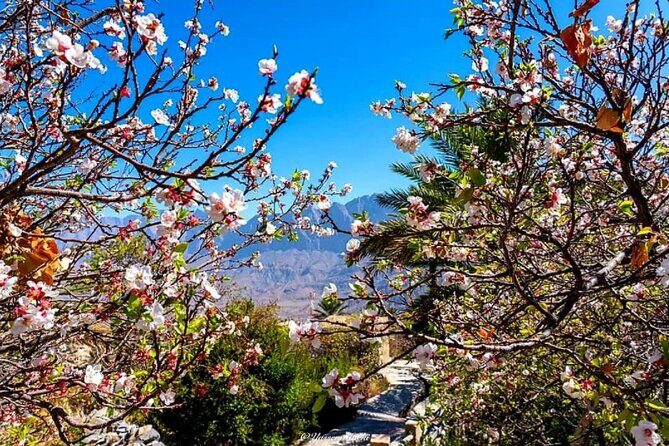 2 Days 1 Nights Private Trip to Wakan - Nakhal Fort: Restored Rooms, Secret-Passage Stories, and Big Mountain Views