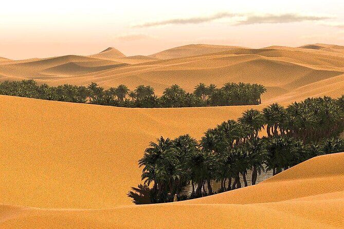 2 Days and 1 Night Private Wahiba Sands Desert Tour - Camel Ride and Desert Motorbike: Choose Your Thrill Level