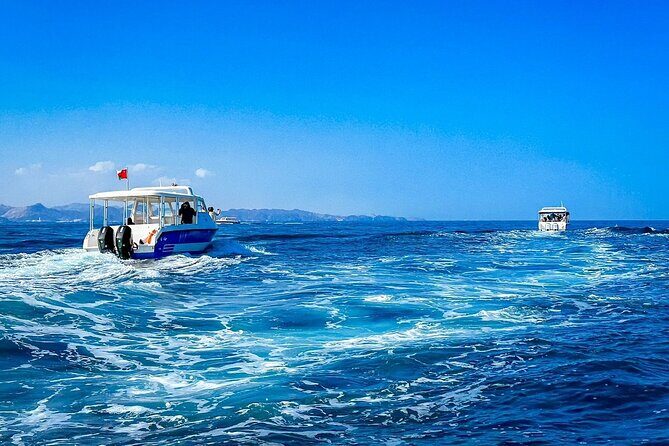 2 Hour Dolphin Watching Experience in Muscat - The Boat Ride: Where the Crew Puts Their Attention