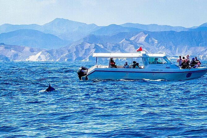 2 Hour Dolphin Watching Experience in Muscat - Spotting Them Like a Pro (Without Pretending You’re One)