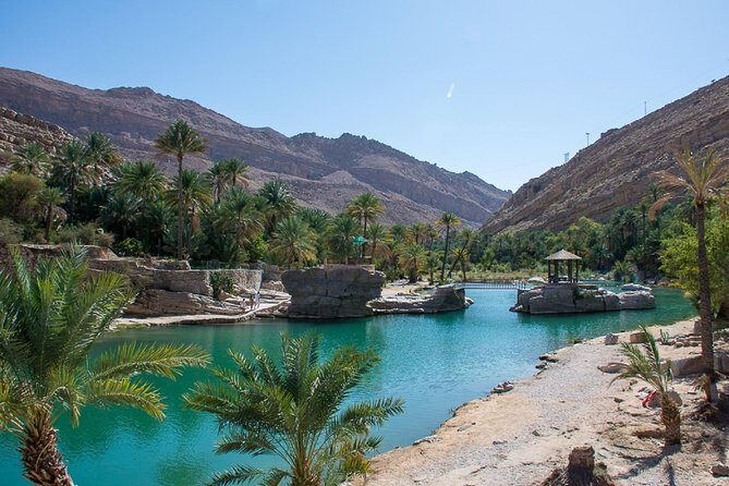 3 Day Package TOUR JASMIN - Ras Al Jinz Turtle Reserve at night: the calm, guided walk