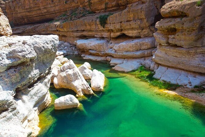 4-Days Private Jamila Sightseeing Tour - Key things I’d bet on before you book