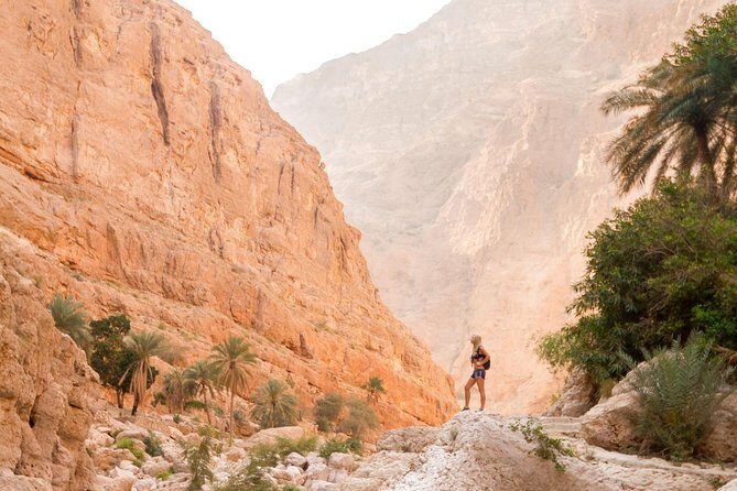 5 Days Package TOUR DINA - Wahiba Sands Desert Camp: Sunset, Dinner, and Optional 4x4 Dunes
