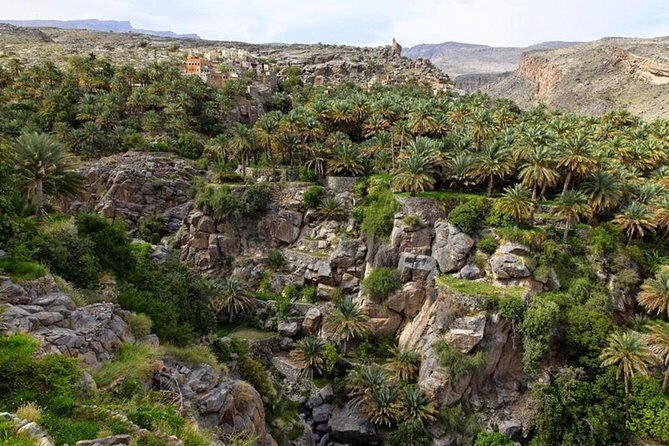 5 Days Package TOUR DINA - Nizwa Souq at 5:00 AM and Nizwa Fort Details