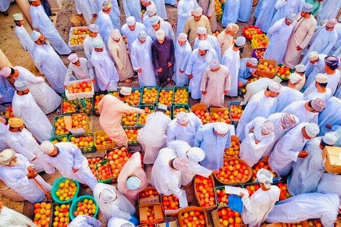 5-Days Private Oman Tour from Muscat - Key highlights you’ll care about