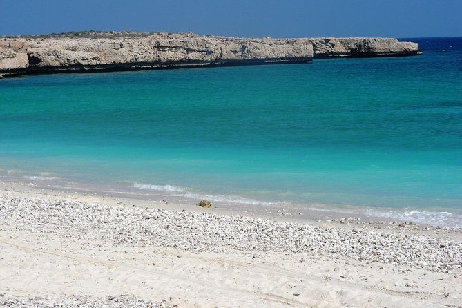 6-Day Latifa Package Tour - Day 2: Sur Forts and Dhow Building, Then Wahiba Sands Camp With Sunset 4x4 Options