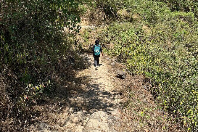6 Hours Private Hiking in Salalah Mountains - The Secluded Water Spring: Where the Day’s Best Cooling Off Happens