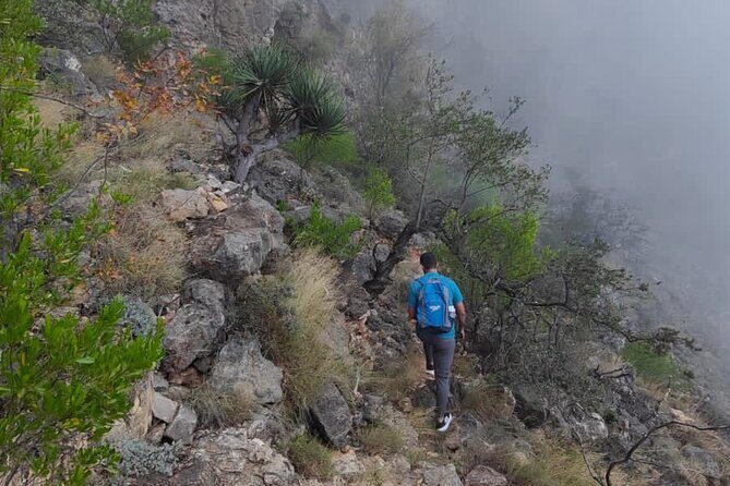 6 Hours Private Hiking in Salalah Mountains - The “Surprise” Factor: Waterfalls, Camels, and Baobab Trees