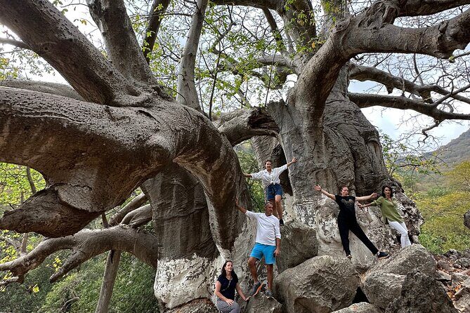 6 Hours Private Hiking in Salalah Mountains - Snacks, Timing, and How the 6 Hours Really Adds Up