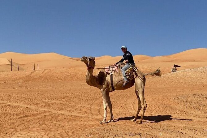 7-8 Hours Private Desert Adventure Trip with Activities - Pickup, 4WD Comfort, and an English-Speaking Guide