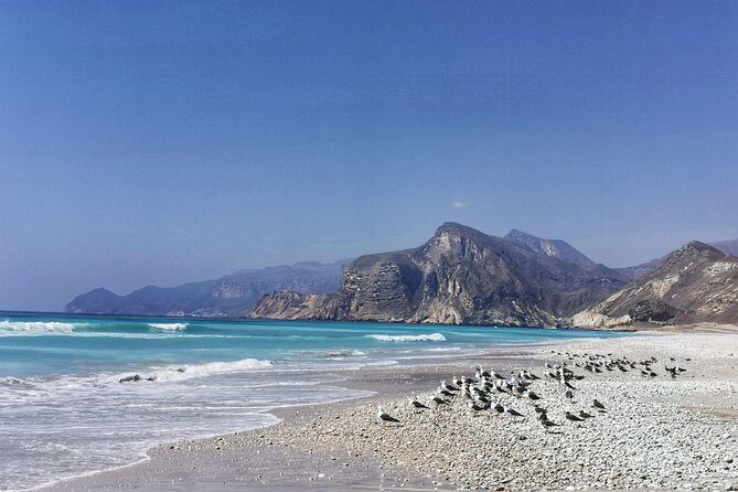 8 Hours of West Salalah Best | Private Tour - Why this West Salalah route works in one 8-hour block
