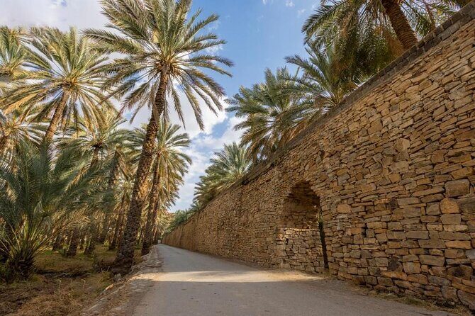 Amouage & Nizwa Full-Day Tour: Fort, Souq & Barakat Al Mouz - Birkat Al Mouz ruins: mud-brick village calm and date-palm paths