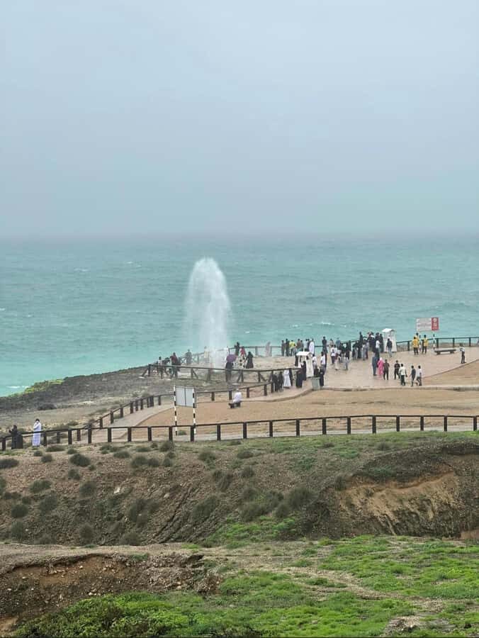 Caribian Orient (Swiming at Fazayeh Beach ) - Camels, flamingo photo moments, and why the timing matters