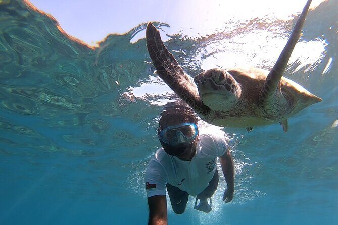 Cruises to Daymaniyat & Snorkeling - Muscat to the Islands: The Boat Ride That Sets the Mood
