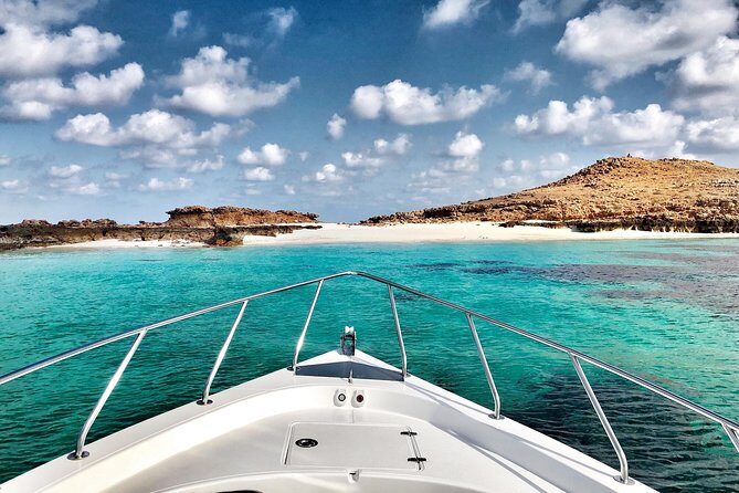 Cruises to Daymaniyat & Snorkeling - Snorkeling Time: How You Actually Get Turtles and Fish