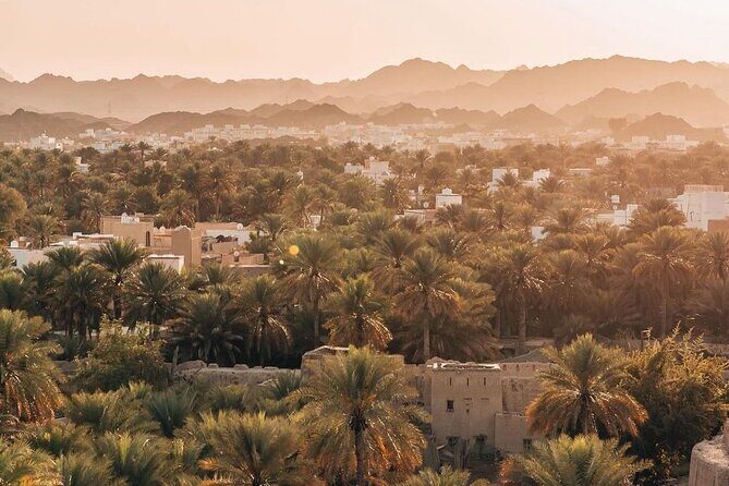 Day Tour to the Enchanting Forts of Nizwa - Passing Through Oasis Villages: Tanuf and Bahla Between the Big Fort Stops