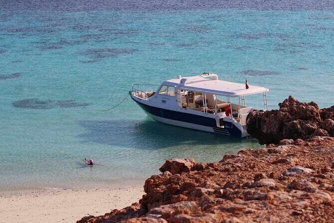 Daymaniyat island Natural Reserve and Dolphin Watching - Daymaniyat From Muscat: The Real Appeal Is the Marine Reserve