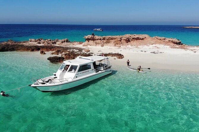 Daymaniyat island Natural Reserve and Dolphin Watching - Meeting Point and Morning Setup: Start at Sidab Sea Tours, Then Marina Bandar Al Rowdha