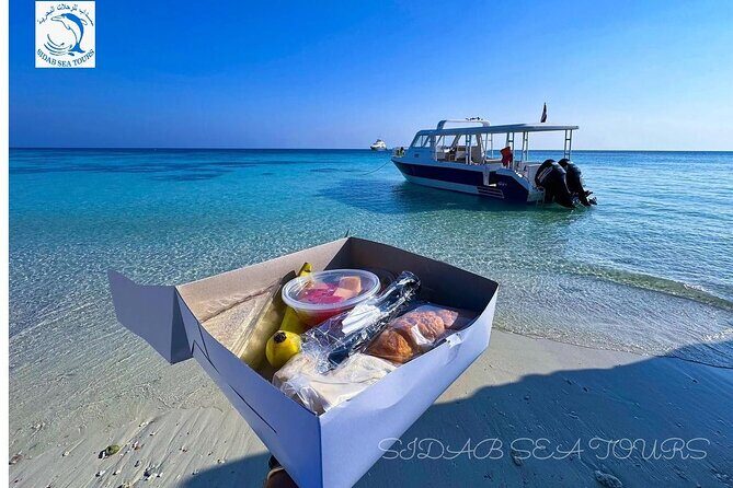 Daymaniyat island Natural Reserve and Dolphin Watching - The Boat Ride Out: Dolphins and Whale Watching While You’re Still Moving