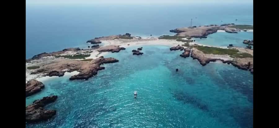 Daymaniyat Island: Snorkelling Tour with Tasty Lunch - Wildlife odds: turtles, rays, reef sharks, and the whale-shark season note