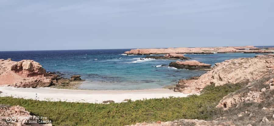 Daymaniyat Island: Snorkelling Tour with Tasty Lunch - FAQ