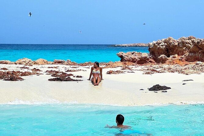 Daymaniyat Islands Snorkeling Half-Day Tour - Group size, boat crowding, and how to choose your comfort level
