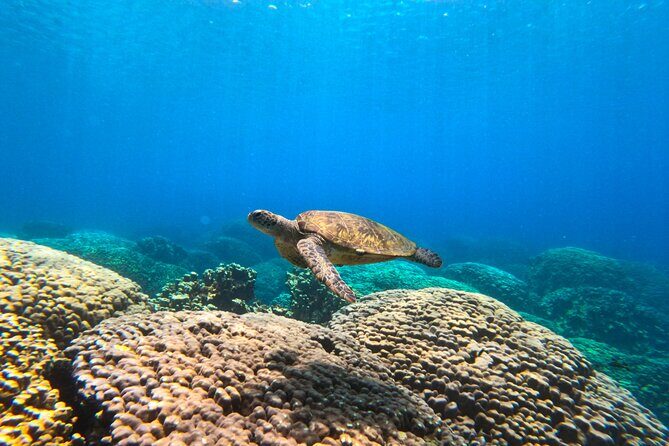 Daymaniyat Islands Snorkeling Sharing Trip - From Muscat to Al Mouj Marina: your 8:00am starting point