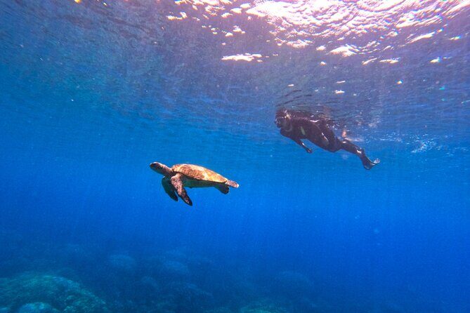 Daymaniyat Islands Snorkeling Sharing Trip - Photos and video: why it’s worth asking for their cues