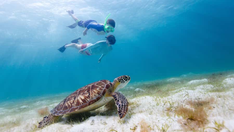Daymaniyat Islands Snorkeling Small Group Turtles - Getting to Seeb Port and out to the islands (about 20 minutes)