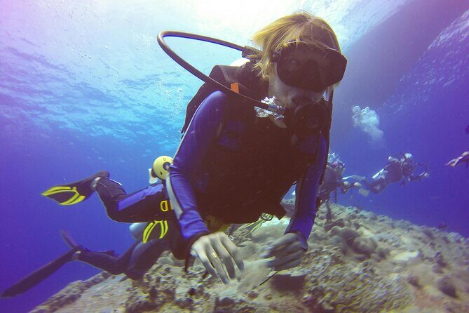 Daymaniyat Islands Snorkeling Tour - Daymaniyat Islands from Al Mouj: the timing that makes it work
