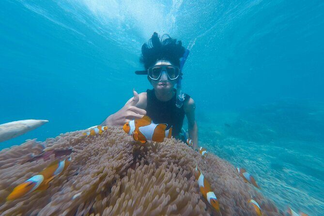 Daymaniyat Islands Snorkeling Tour - Who should book this Daymaniyat Islands snorkeling tour?