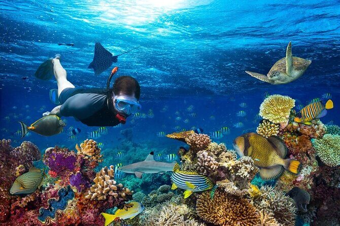 Daymaniyat Islands Snorkeling Tour - Snorkeling with equipment included: what you’ll actually do out there
