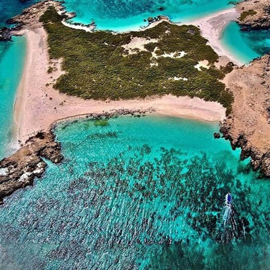 Daymaniyat Islands Snorkeling with Picnic Lunch - Kayak and paddle boat time: why this matters beyond fun