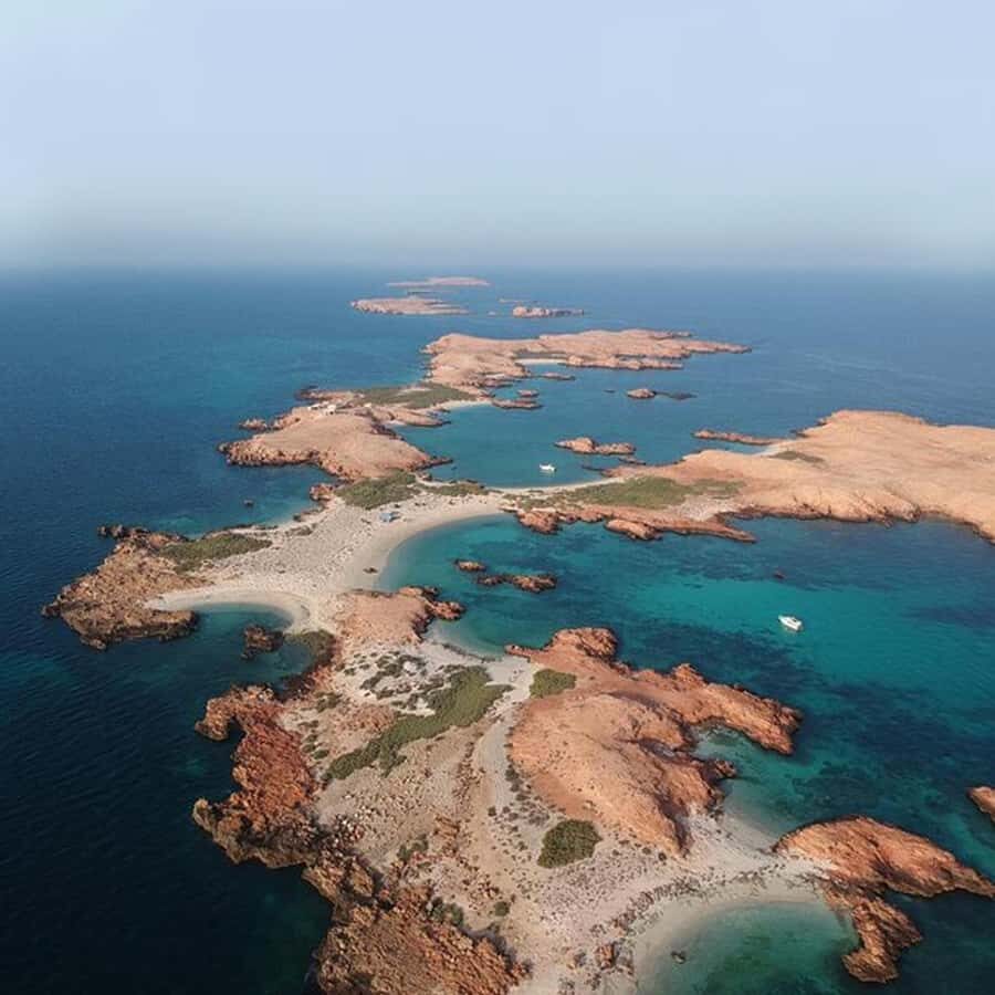 Daymaniyat Islands Snorkeling with Picnic Lunch - The island walk and picnic lunch: the calm middle of an active day