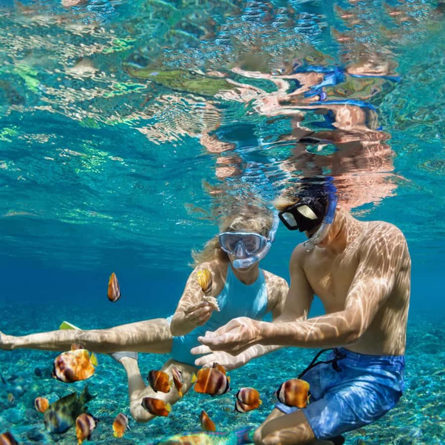 Daymaniyat Islands Snorkeling with Picnic Lunch - The GoPro question: footage is great, but confirm it