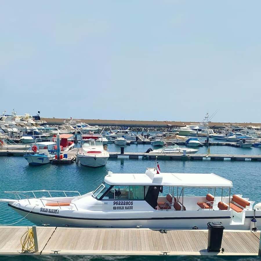 Daymaniyat Islands Snorkeling with Picnic Lunch - Crew and guidance: what makes the difference in the water