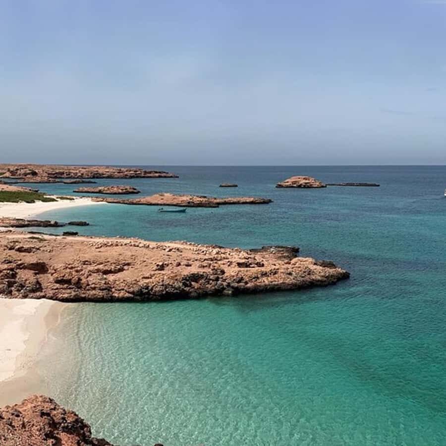 Daymaniyat Islands Snorkeling with Picnic Lunch - Price and value check: is $71 per person fair?