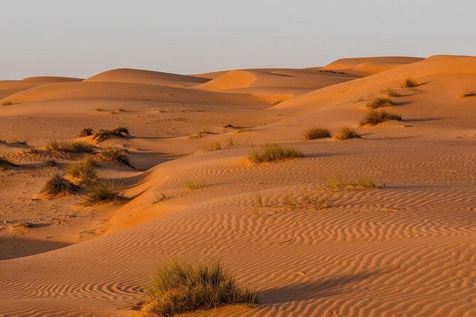 Desert Safari Sharing Tours - Wahiba Sands: The Desert You Picture, With Wind-Sculpted Drama