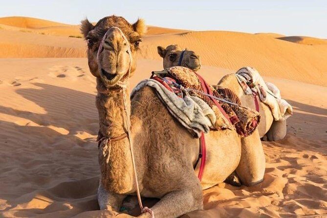 Desert Safari Sharing Tours - Wadi Bani Khalid: Pools, Boulders, and a Refreshing Break