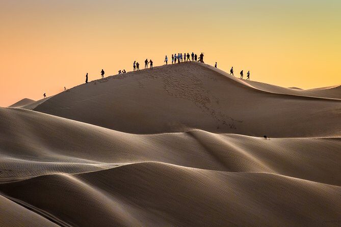 Desert Safari Trip Full Day & Ubar Lost city - Price and value: $195 per person for a full-day desert hit