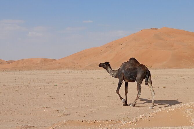 Desert Sunset Tour VisitSalalah - Stop 2: Rub al Khali (Empty Quarter) for sunset and stars