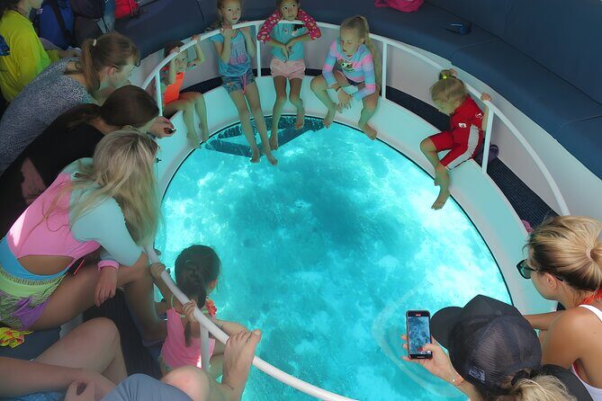 Dimaniyat Island Tour on Glass Bottom Boat (Muscat) - The hydrofoil glass-bottom boat: the view is the whole point