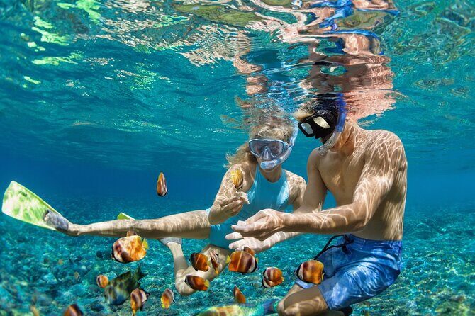 Dimaniyat Island Tour with Snorkeling - Dimaniyat Island From Al Mouj: What a Half Day Actually Delivers