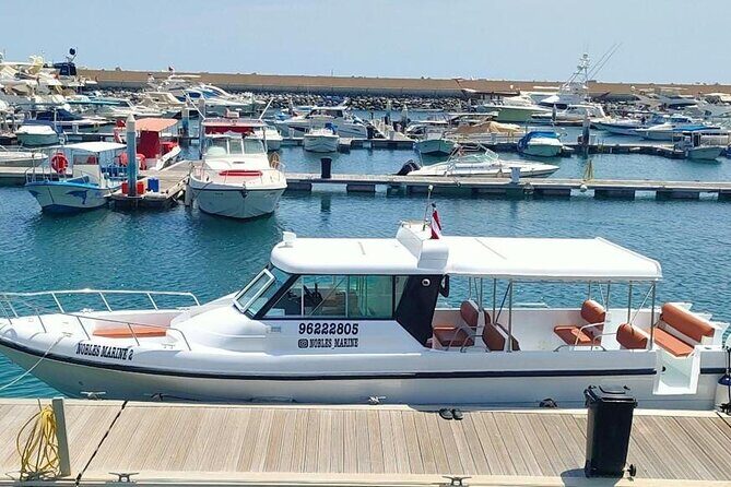 Dimaniyat Island Tour with Snorkeling - Kayak on Request: Worth It or Skip It?