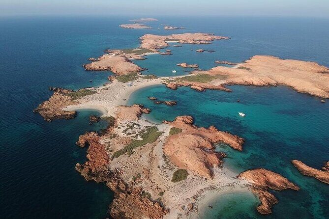 Dimaniyat Island Tour with Snorkeling - Food, Snacks, and What’s Included (So You Can Travel Lighter)