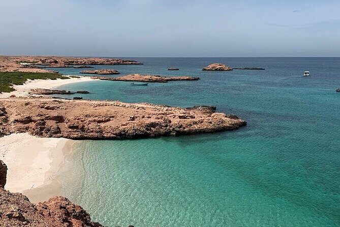 Dimaniyat Island Tour with Snorkeling - Snorkeling and Turtle Watching: Where You Get the Most Time in the Water