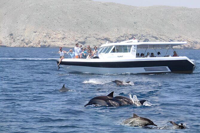 Dolphin Watching and Snorkeling Activity in Muscat - Key things I’d zero in on before you go
